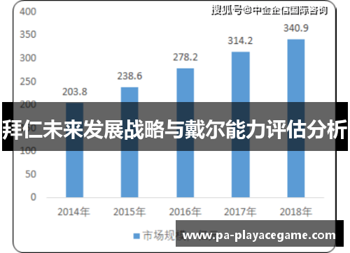 拜仁未来发展战略与戴尔能力评估分析