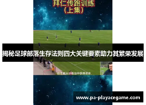揭秘足球部落生存法则四大关键要素助力其繁荣发展
