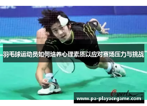 羽毛球运动员如何培养心理素质以应对赛场压力与挑战