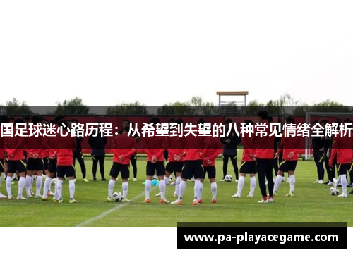 国足球迷心路历程：从希望到失望的八种常见情绪全解析