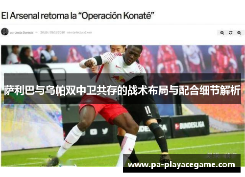 萨利巴与乌帕双中卫共存的战术布局与配合细节解析